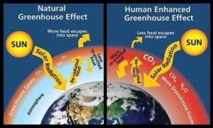 Greenhouse Effect diagram