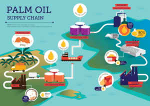 Palm Oil Supply Chain diagram by RSPO
