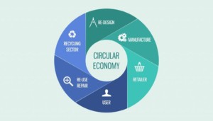 circular-economy-infografica